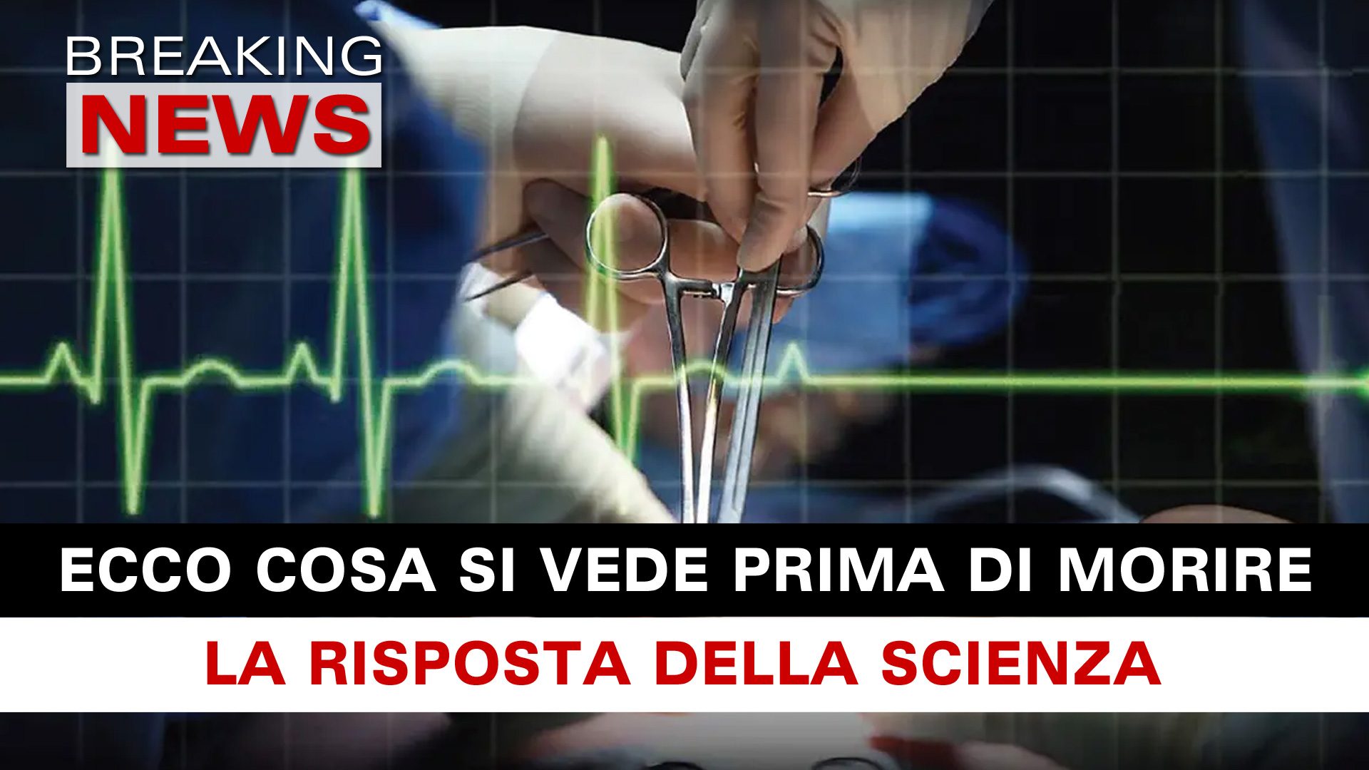 Prima Di Morire Cosa Si Vede Ecco Che Cosa Si Vede Prima Di Morire: La Risposta Della Scienza