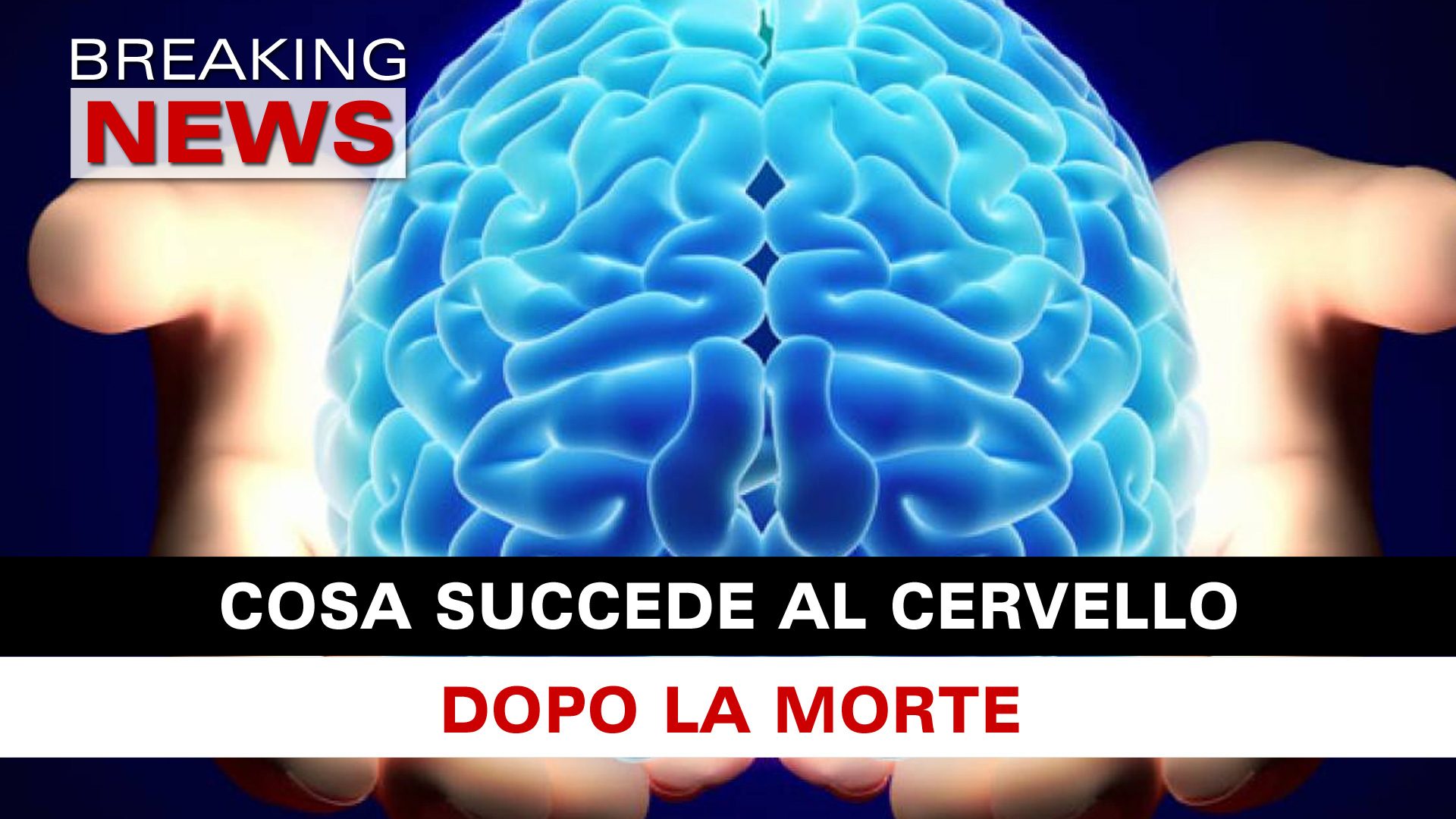 Cosa Succede Al Cervello Dopo La Morte! Breaking News Italia