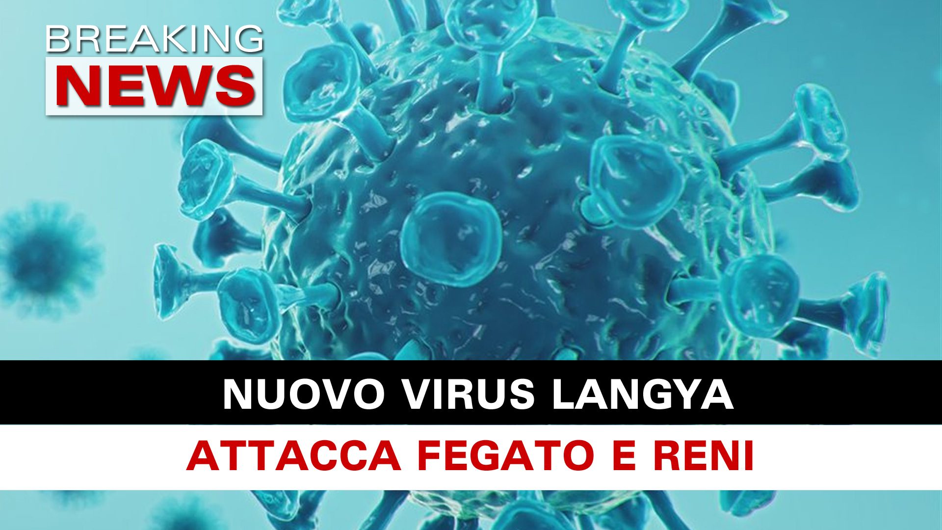Nuovo Virus Langya Attacca Fegato E Reni Breaking News Italia