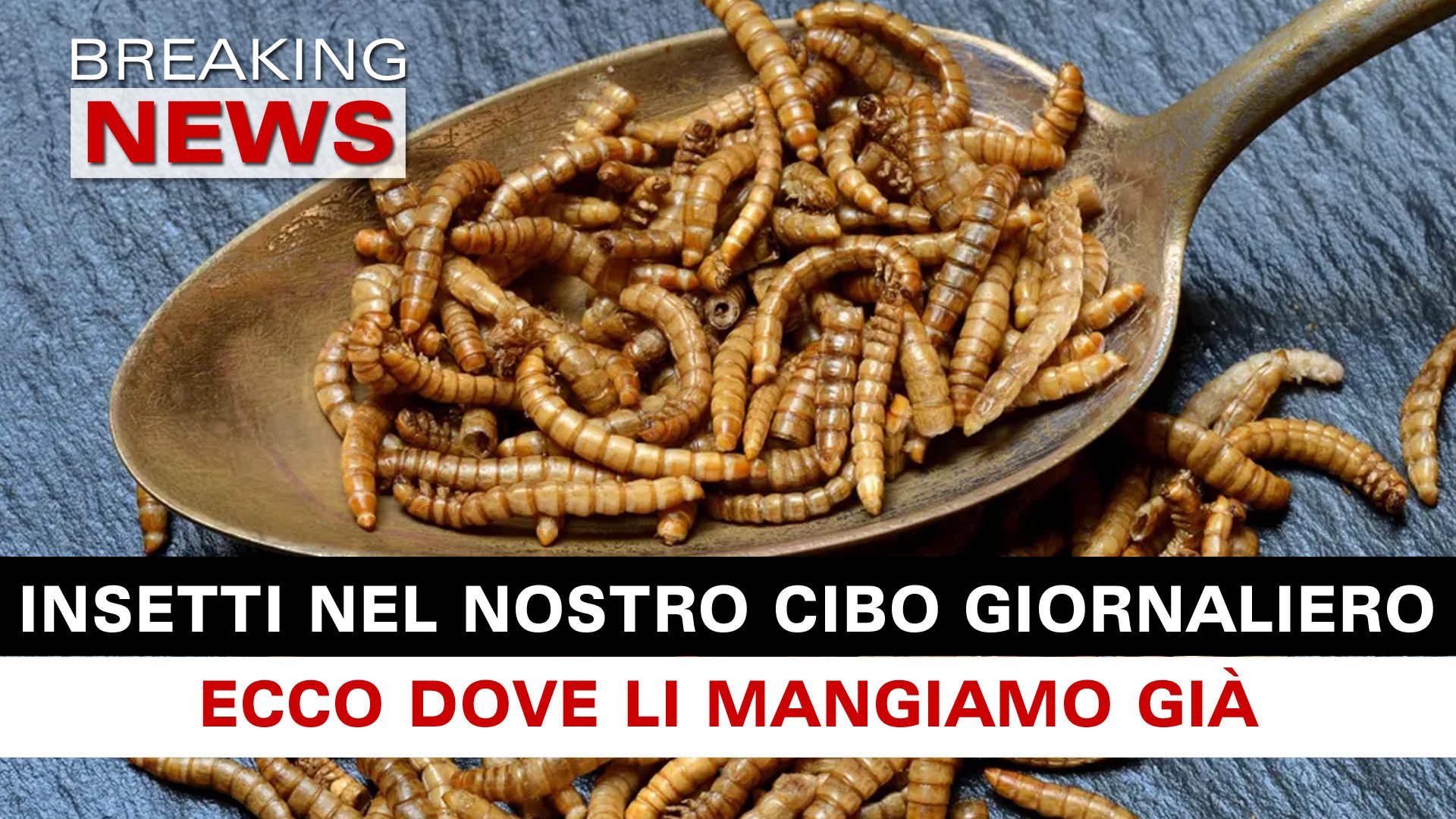 Insetti Nel Cibo: Ecco Dove Li Mangiamo Già! - Breaking News Italia